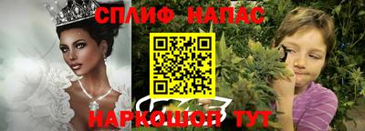 стафф Чебоксары