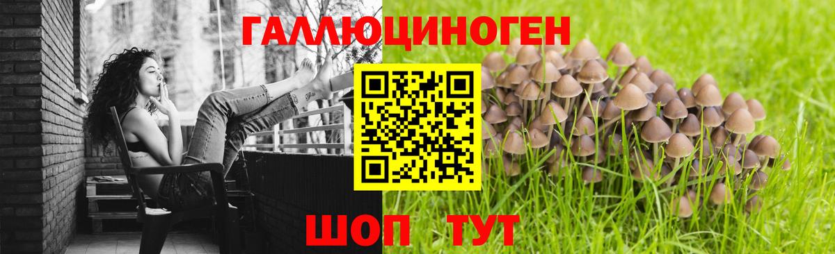Псилоцибиновые грибы Psilocybine cubensis  Вход с VPN  Большой Камень 