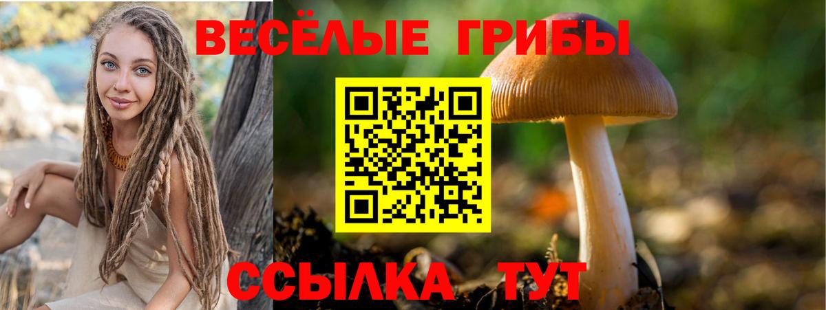 Псилоцибиновые грибы мицелий Большой Камень